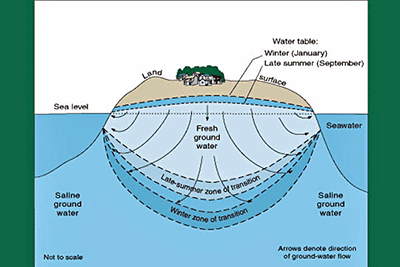 Conservation of water