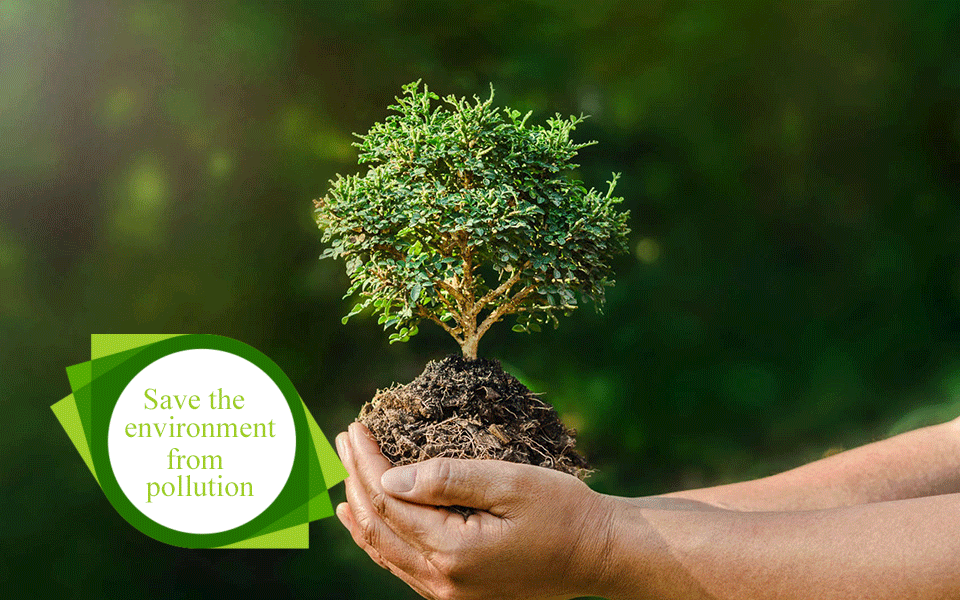 How can we save the environment from pollution?
